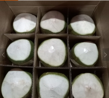 Fresh Green Coconut for Drinking and Cooking Premium Quality Wholesale Price from Viet Nam Manufacturer 5