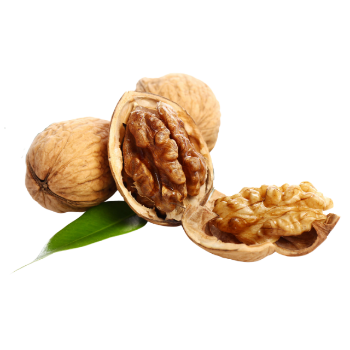 Walnut In Shell Dry Fruits Walnuts Kernels Best Choice Dry Fruits Premium Grade Sweet Taste For Sale From Vietnam Manufacturer 5