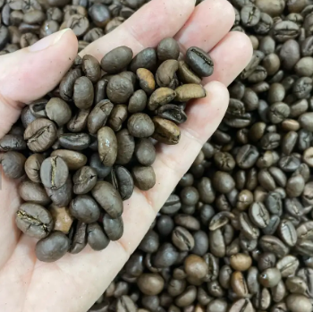 Robusta Coffee Roasted Good Price Export Food High Protein Vaccum Bag Made In Vietnam Trading 4