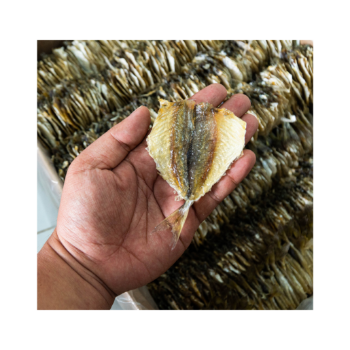 Dried Yellow Stripe Trevally Fish Dry Fish Scale Good Quality Export Ly Huynh Tasty Vacuum Pack From Vietnam Manufacturer 7