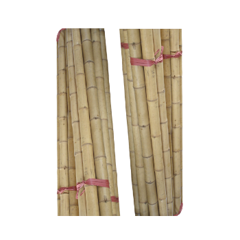 Bamboo Straight Pole For Decoration Good Price Raw Material Friendly Ready Export Top Guaranteed Popular From Vietnam Thanh Long Company Manufacturer 1