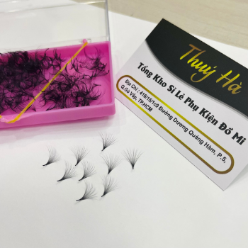 20D Hand Fan Thickness 0.03 Curvature (C, D) box of 500 fans mi extension tool fan Thuy Ha Eyelashes Extension OEM ODM Service  2