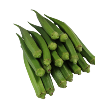 Vegetables Fresh Okra High Quality Natural Taste using for many purposes TCVN packing in carton Vietnam Manufacturer 4