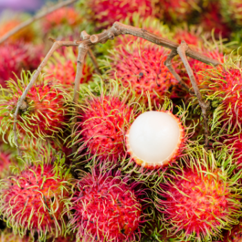 Delicious Premium Grade Frozen Rambutan good for health from Vietnam Brand Name Dieu Phu Organic 4