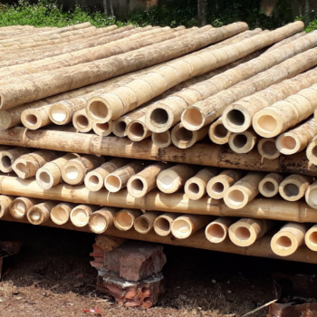 Custom Length Eco-Friendly Vietnam ODM OEM Service Bamboo Long Straight Pole For Decoration Good Price Raw Material Export Top Guaranteed Popular From Manufacturer  1