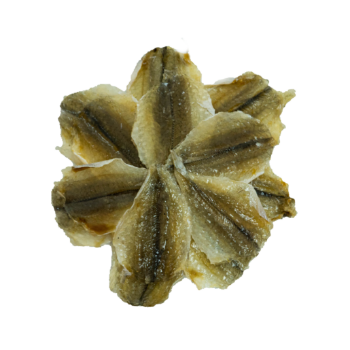 Stock Fish Dried Cod Norway Yellow Croaker Fish Cheap Price Export Ly Huynh Tasty Vacuum Pack Vietnam Manufacturer 3