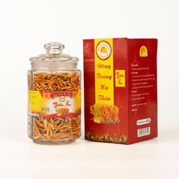 Freeze Dried Cordyceps Militaris Wholesale Nutritious Using For Food ISO Packing In Jar Vietnam Manufacturer 1