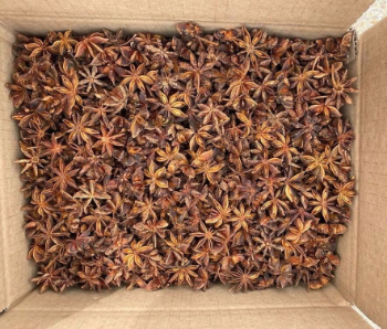 Natural Star Anise High Quality Dried Star Anise For Seasoning 100% Pure High Quality Made In Vietnam Manufacturer Good Price 6