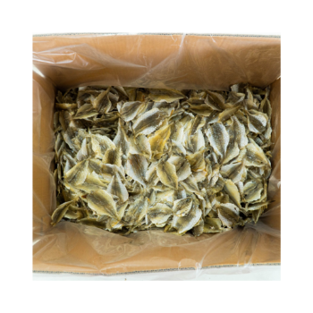 Dried Fish From Viet Nam Yellow Croaker Fish Cheap Price Export Ly Huynh Tasty Vacuum Pack From Vietnam Manufacturer 6