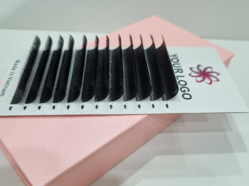 CAMELLIA Tray Eyelashes Hot Selling Semi-Hand Made Using For Personal Care Different Colors From Vietnam Manufacturer 6