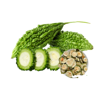 Bitter Melon Fast Delivery Fresh Good Choice   Tasty Food Vinagreen Customized Packing From Vietnam Bulk 1