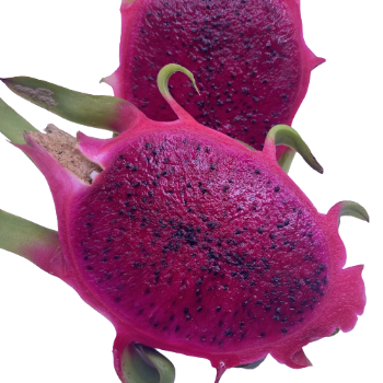 Tropical Fruit Dragon Fruit 100% Organic High Quality Ready To Ship Wholesales Fresh Carton Box From Vietnam Manufacturer 1