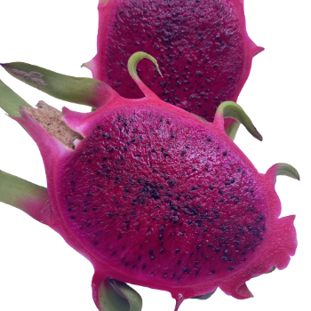 Tropical Fruit Dragon Fruit 100% Organic High Quality Ready To Ship Wholesales Fresh Carton Box From Vietnam Manufacturer