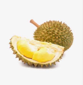 Wholesale Sweet savory and creamy taste strong smell Brix 20% Ri 6 Fresh Durian from Vietnam 7