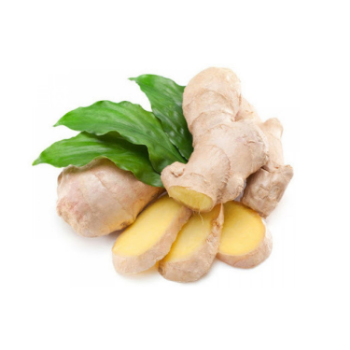 Good Quality Ginger Harvesting Natural Fresh High Nutrients Organic Natural Yellowish Vietnamese Manufacturer 5