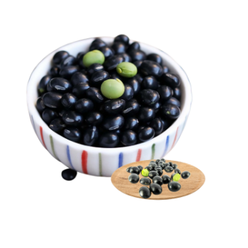 Black Beans Bean  Best Choice  Nutritious Food Using For Food Vinagreen Customized Packing From Vietnam Bulk 1