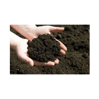 Sundried Chicken Manure Fertilizer Organic Plant Fertilizer Broiler Ross Humus Fertilizers Organic From Vietnam Manufacturer 1