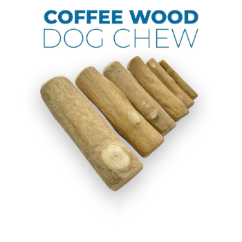 Coffee Wood Chew Stick 4W 100% Natural Competitive Price Durable Customer'S Requirement Vietnam Manufacturer 2