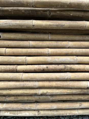 Top Quality Large Bamboo Poles Trading In Bulk For Decor And Construction Packed In Bundles with Good Price 7