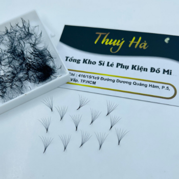 Thuy Ha Eyelashes Extension Mi fan 6D 007 OEM ODM Service extension tool fan 5