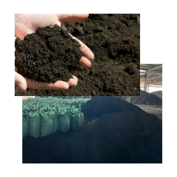 Organic Plant Fertilizer Broiler Ross Humus Fertilizers Sundried Chicken Manure Fertilizer Organic From Vietnam Manufacturer 5