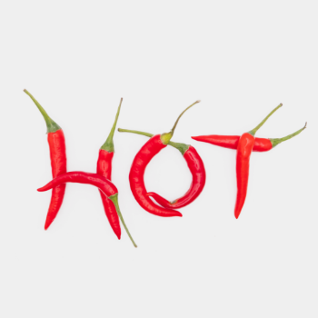 Premium Products Fresh Chili Organic High Grade Fresh Chilli Agriculture Style Packing Herbs Weight Form Vietnam Manufacturer 3