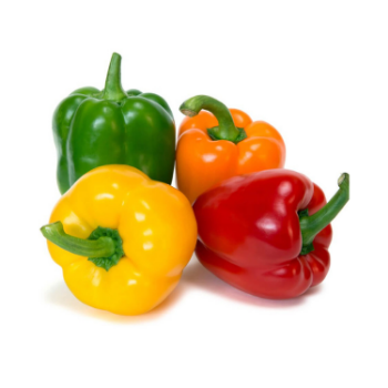 High Quality Fresh Bell Pepper 100% Natural Capsicums Tropical & Sub-Tropical Fruit Packed In Box Vietnam Manufacturer 2