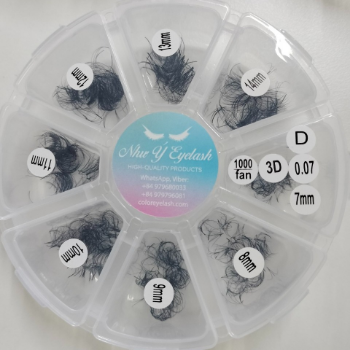 Private Label 2D to 20D/1000 fans Loose Promade Fans Lash Extensions Premade Volume Fans with Matte Black Pro Made Fan Eyelash Extensions 3