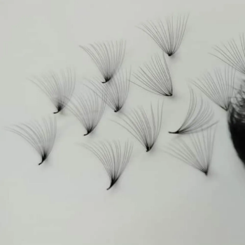 Fast Delivery Handmade 5D Premade Eyelash Fan Eyelashes Eyelash Extensions Using For Makeup Support Free Sample In Vietnamese 2