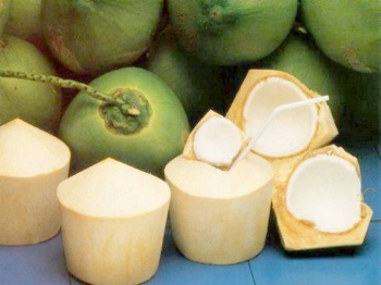 Fresh Green Coconut Wholesale Price 2023 Hot Selling! Premium Quality for Drinking and Cooking Viet Nam Tropical Fruit 6