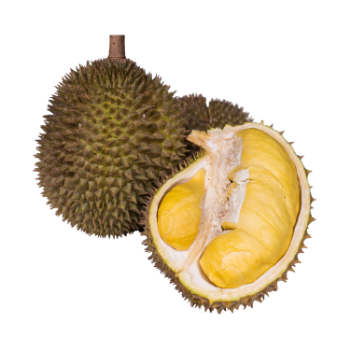 Durian Fresh Fruit High Specification Tropical Fruit using for many purposes TCVN packing in carton Made in Vietnam Manufacturer 7