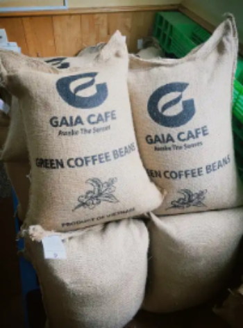 Arabica Green Coffee Beans Vietnamese Export Quality Processing on Demands Arabica Raw Coffee Beans Bulk Bag Packaging 1