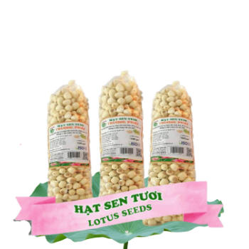 Fresh Lotus Seed Lotus Seed Best Choice  Natural Very Rich Nutrition Distinctive Flavor Not Contain Cholesterol Zero Additive Manufacturer 2