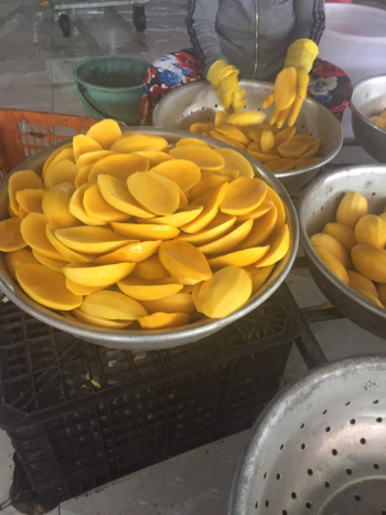 Dried Mango No Additives No Preservative Packing Specification Half Slices 100% mango, Sweet and sour Cheap price OEM/ODM Low MO 3