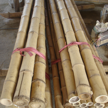 Straight Bamboo Pole Raw Material Best Selling Eco-friendly Ready To Export Top Guaranteed Popular For Making Household Decoration From Vietnam Manufacturer 4