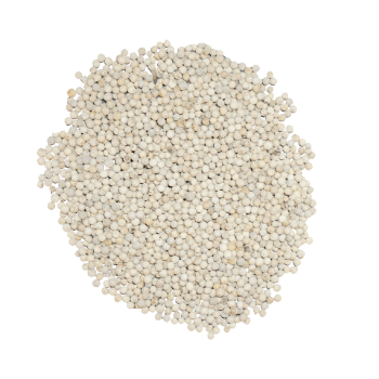 Marinade Raw White Pepper Bulk Sales Using For Food Organic Chili Customized Packing Vietnam Manufacturer 6