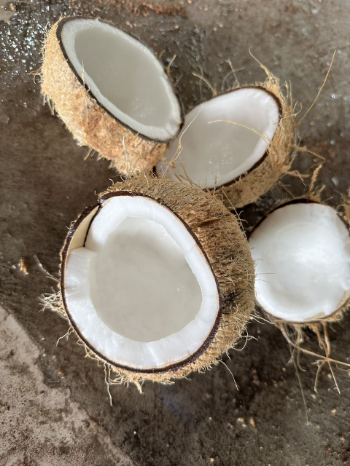 Dried Coconut From Vietnam Agriculture Semi-Husked Nutrition Juicy Sweet Water 100% Natural Thick Meat Hot Selling 5