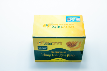 Ginseng And Cordyceps Tea Good Service Good Health Agrimush Brand Iso Ocop Customized Packaging From Vietnam Manufacturer 6
