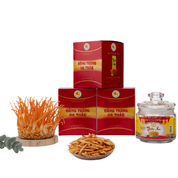 Freeze Dried Cordyceps Militaris High Quality Precious Food Using For Drink ISO Packing In Jar Made In Vietnam Manufacturer 4