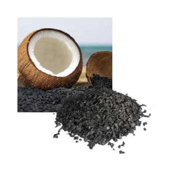 High Surface Active Carbon From Coconut Shell 2023 Fast Delivery High Power Water Purification Iso Vilas Iso Halal Gmp Trabaco 5