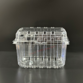 Fast Delivery Biodegradable Clear Boxes Disposable Pet Container Packaging Clamshell Plastic Fruit Made In Vietnam 5