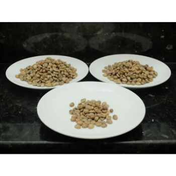 Raw Robusta Coffee Beans Culi Robusta S18 - Clean High Quality Natural Using For Making Food And Beverage No Additives 7