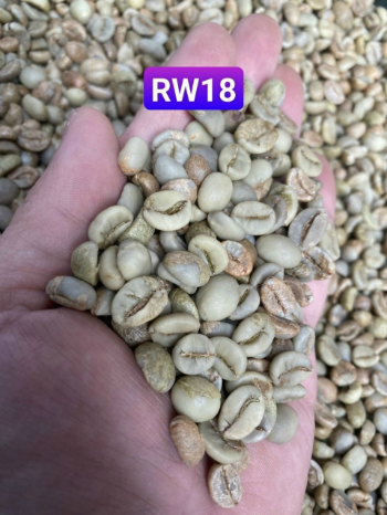 Robusta Coffee Green Bean Coffee Natural Color Natural Color Variety Of Price Best Product Packed In The Carton Box 100% Organic Ready To Use 6