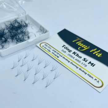 Thuy Ha Eyelashes Extension Mi Fan 4D Eyelashes 0.07 500 Fans OEM ODM Service extension tool fan  3