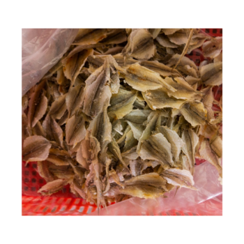 Stock Fish Dried Cod Norway Yellow Croaker Fish Cheap Price Export Ly Huynh Tasty Vacuum Pack Vietnam Manufacturer 6