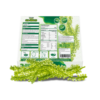 Dehydrated Sea Grapes Natural Professional Team Nutritious Mitasu Jsc Paper Box Made In Vietnam Manufacturer 3