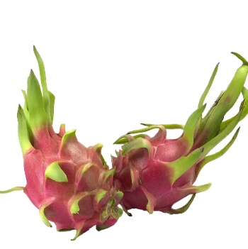 Rich Fiber Fresh White Dragon Fruit Sweet Export Bulksales Using For Food Carton Box Wooden Packaging Vietnam Manufacturer 3