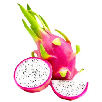 Fresh White Dragon Fruit Competitive Price No Preservatives Gift Export Bulksales Customized Packing From Vietnam Manufacturer 1