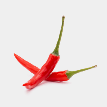 Non Toxic Spices & Herbs Fresh Chili Premium Organics Good Customer Service High Grade Fresh Chilli Form Vietnam Manufacturer 6