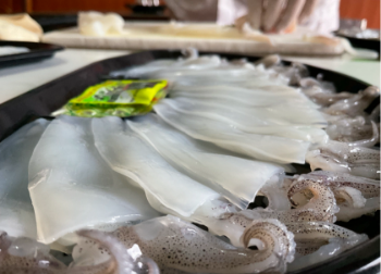 Squid Sugata Frozen Squid Steak High Quality New Seafood Using For Food Iso Pack In Foam Tray Vietnam Manufacturer 2